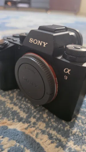 sony a9 + sony 100-400mm lens