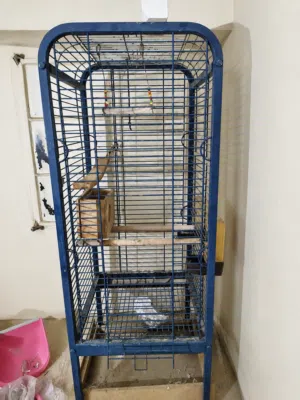 birds cage for sale
