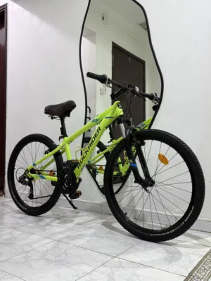 Rock rider st 100
