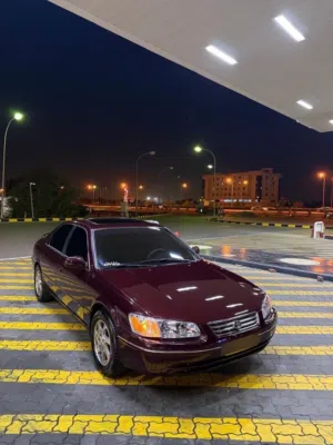 موتر مايحتاج شي