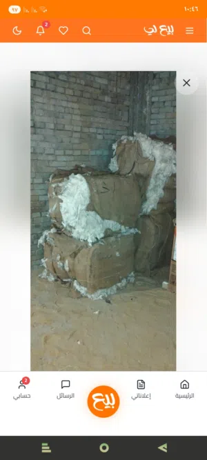 قنطار قطن مصري