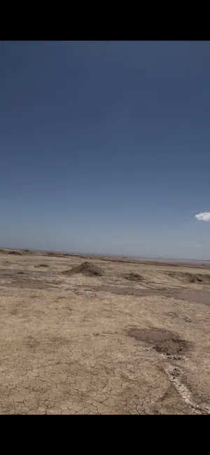 Farm Land for Rent in Najaf Other