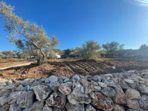 وائل محمد قحوش 