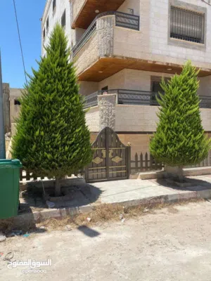 153 m2 3 Bedrooms Apartments for Sale in Irbid Petra Street