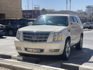 اسكاليد بلاتينيوم نظيف شرط الفحص