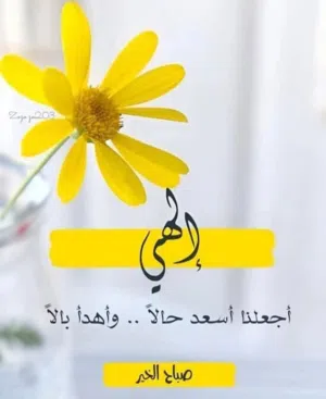 علي ميلاد البرناني 