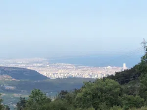 ‏الاستخدام المتعدد ‏.‏ 13515 م٢ ‏.‏ المالك‏3