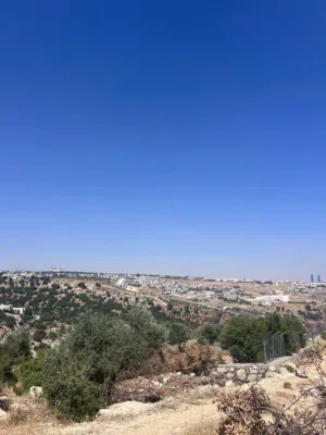 غرب عمان بدر الجديدة حوض الشراب بسعر مغري جدا
