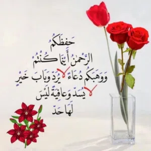 سيد علاء 