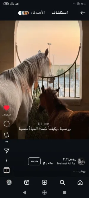 هديل شلالدة 