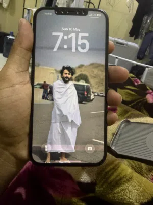 iPhone 12 Pro Max (256gb)