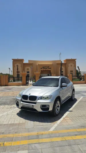 BMW X6  v6