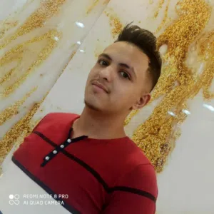 انس امين الاحمدي 