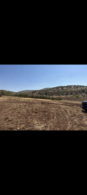 Farm Land for Sale in Zarqa Sarout