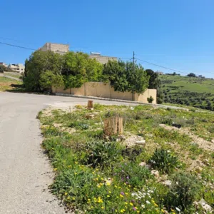 Residential Land for Sale in Amman Shafa Badran
