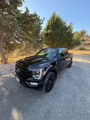 بكب فوردf150