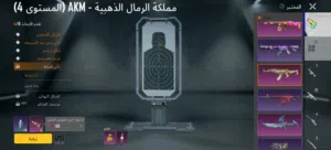 حساب ببجي صرف ونوادر وبي مجال للشرايه