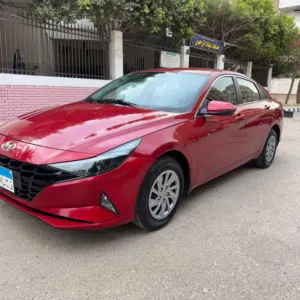 عربية النتيرا