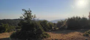 Residential Land for Sale in Jerash Other