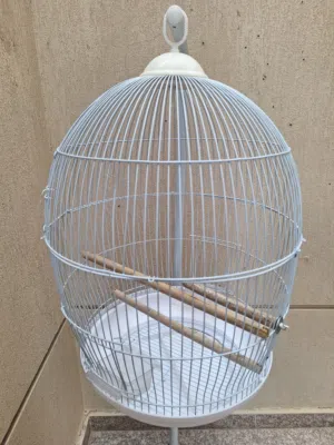 birds cage