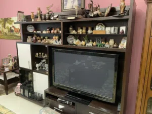 وحدة تلفزيون