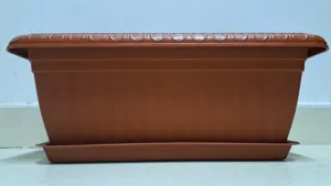 اصيص زراعة