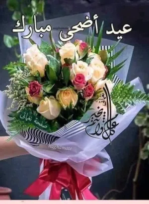 Khaleda 3abed 
