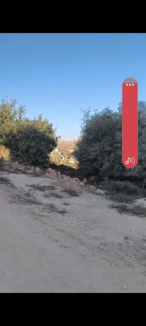 ارض للبيع في منطقه  روابي صالحه للبيناء  مساحه 800 متر