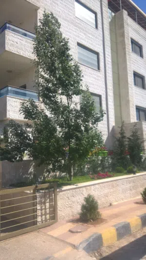 شقة سوبر ديلوكس للايجار جانب جامعة البترا طابق 3 مطلة عل طريق المطار