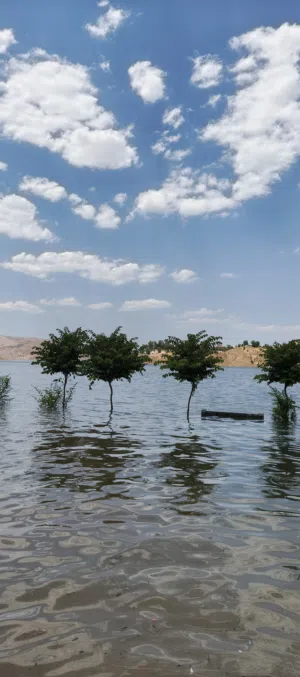 عبدالله احمد عبدالكريم 
