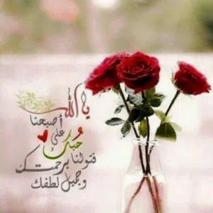 محمودالثوابي 