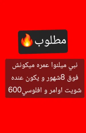 كلب ميلنوا