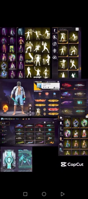 Free Fire Accounts and Characters for Sale in Cairo