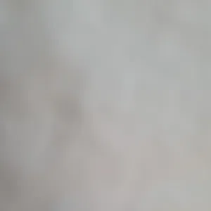 سلطان 