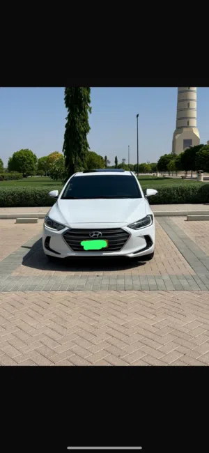 Used Hyundai Elantra in Al Batinah