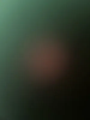 مطلوب قطه للتبني في صلاله