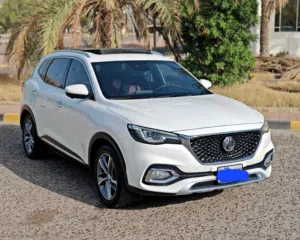 MG HS 2023 ام جي HS صبغ الوكالة