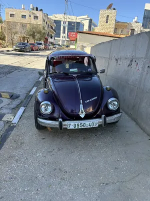 فوكسفاكن بيتل (صرصور)