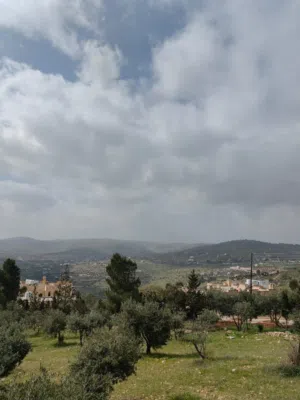 Farm Land for Sale in Zarqa Sarout