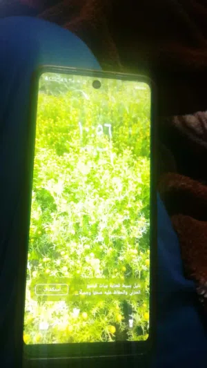 Tecno Spark 128 GB in Salt