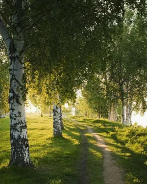 مزرعةة للبيع ع وضعها جاهزة بنسبة 90 بالمية