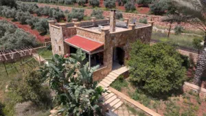 Farm Land for Sale in Salt Al Subeihi