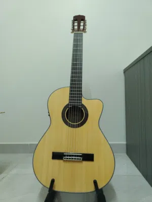 Aria AK30CE