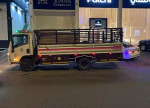 Dyna isuzu