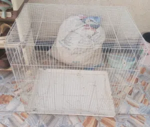 قفص للبيع نضيف