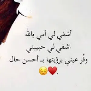 ابو سفيان 