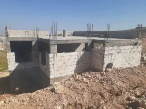 جوز شكالي فحل احمر رزي طيره صفره جوز قراقطه