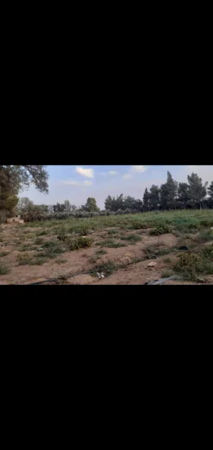 Commercial Land for Sale in Zarqa Azraq