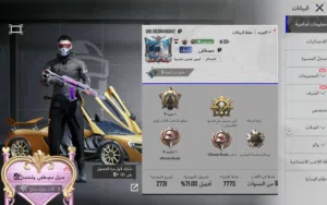 حساب ببجي   بيه مجال
