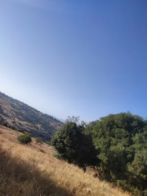 Residential Land for Sale in Salt Al Balqa'